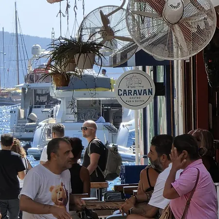 אכסניה The Cranberries *