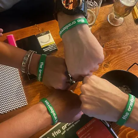 旅馆 The Cranberries *